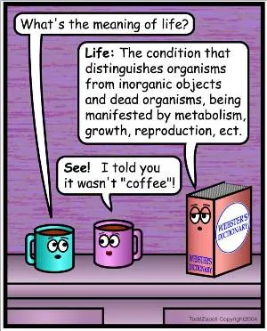 meaning of life