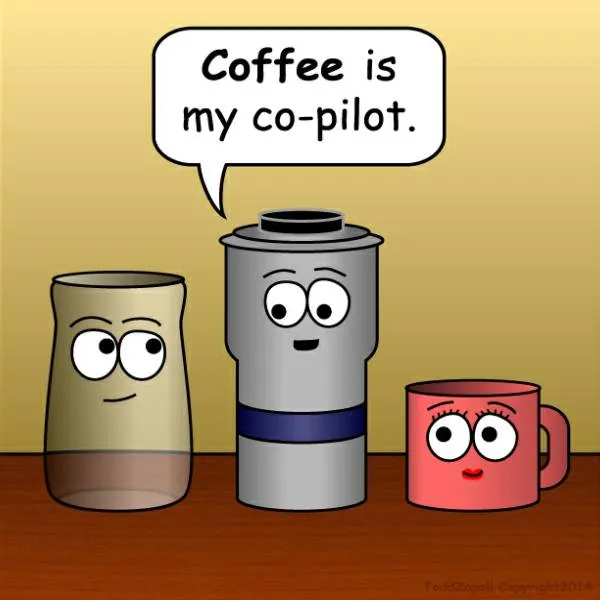 Co-pilot