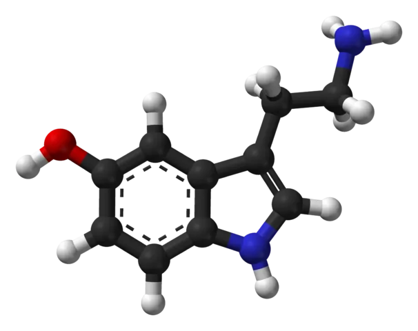 serotonin