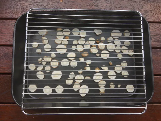 Chicory prepped