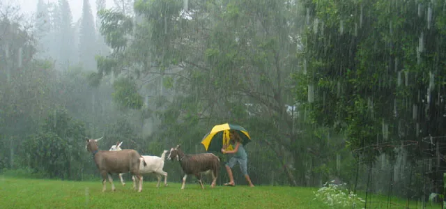 Downpour in Kona