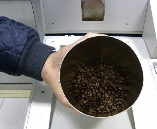 Fresh Roasted Beans