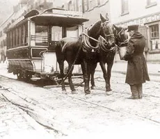 Horses