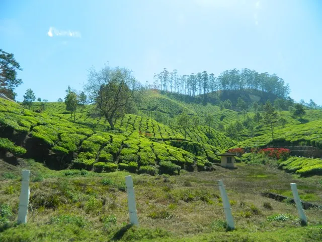 Kerala, India