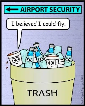 airport security