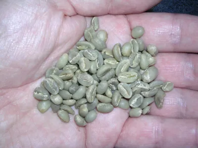 unroasted coffee
