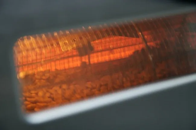 behmor-roasting