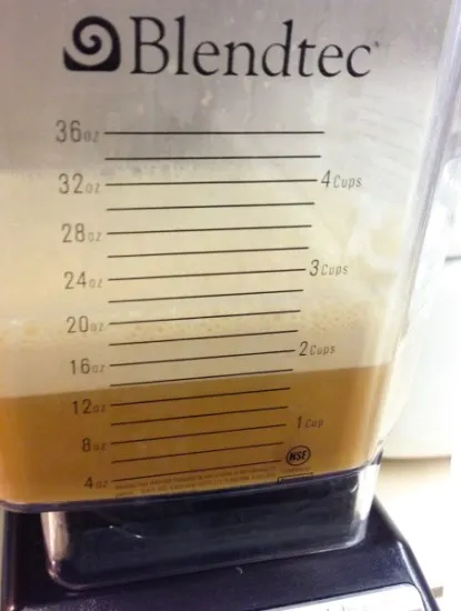 Blendtec Blender