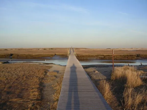 Sandwich Boardwalk