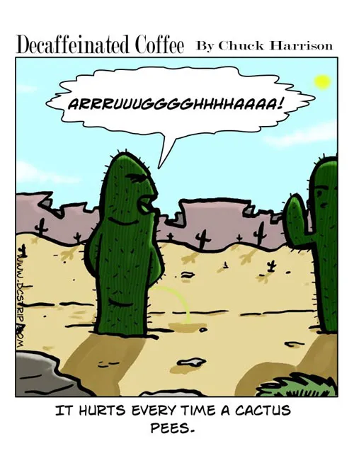 cactus pee