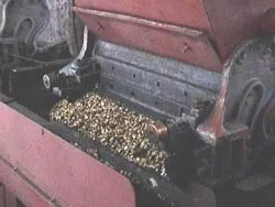 pulping