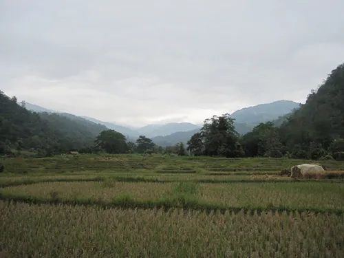 Chiang Mai, Thailand