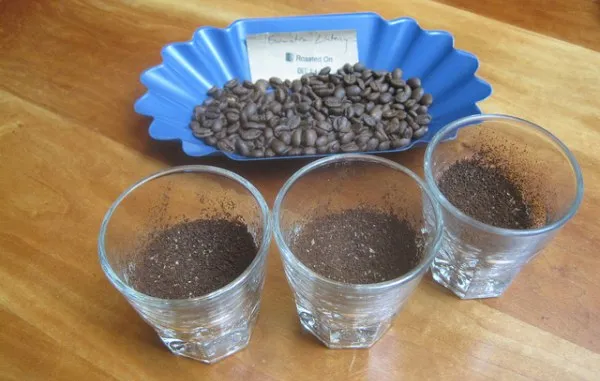 coffee cupping