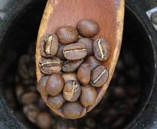 coffee-roast-level-2