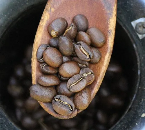 coffee-roast-level-3