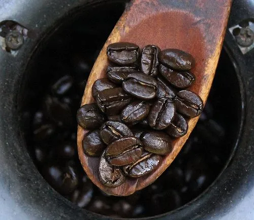 coffee-roast-level-7