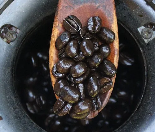 coffee-roast-level-8