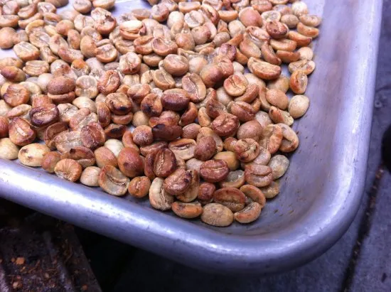 Coffee roast with uneven edges.