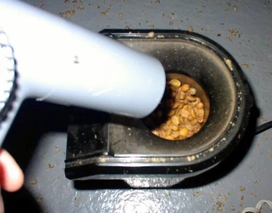 coffee roasting hair dryer