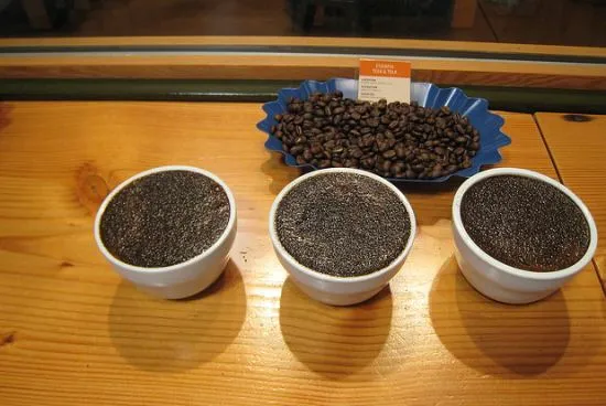 Coffee Cupping at Stumptown
