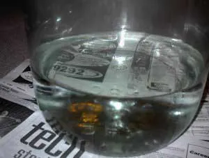 cold water