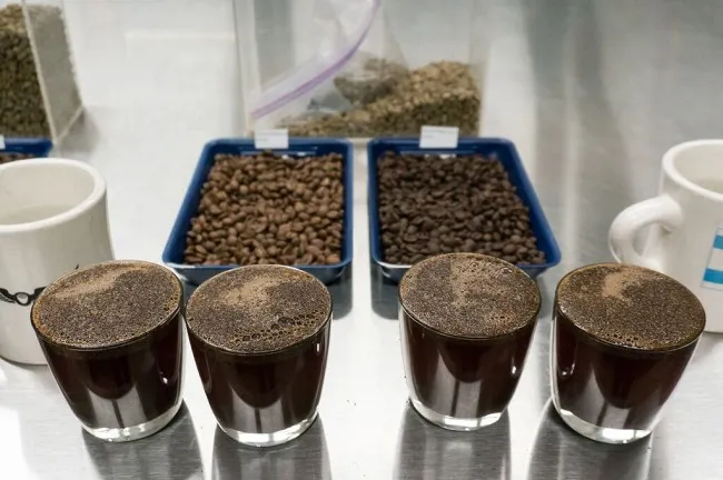 decaf-6-cupping