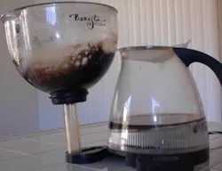 utopia before cleaning