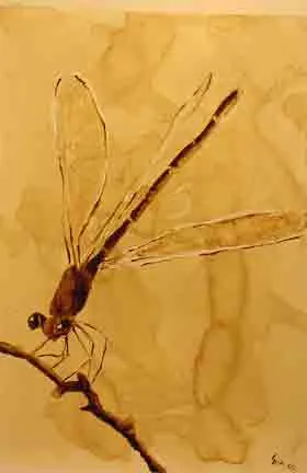 dragonfly - Coffee artwork