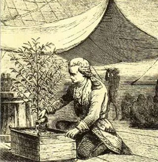 Gabriel de Clieu