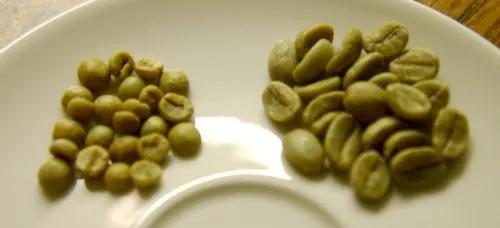 green beans