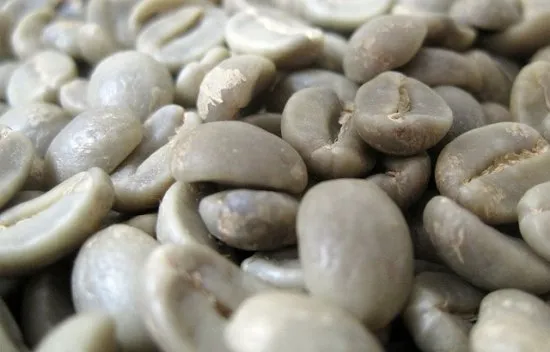 green coffee beans