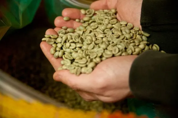 green coffee
