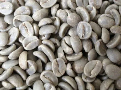 Green Coffee