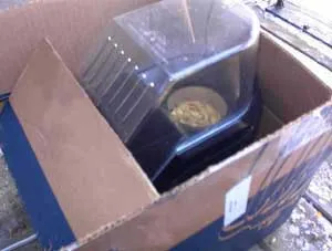 cold weather roasting in box