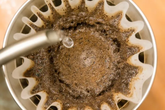 Pour water Kalita Wave