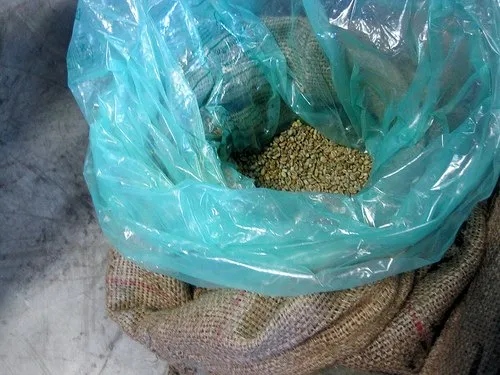 Open bag of green coffee