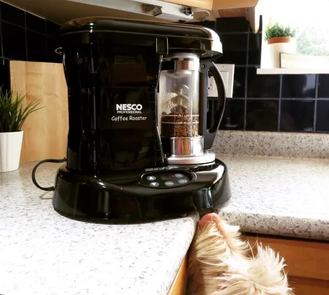 nesco-dog-roast