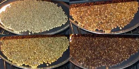 Oven Roast Progression