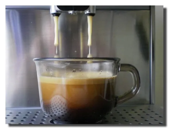 Espresso Shots