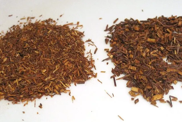 red espresso vs regular rooibos