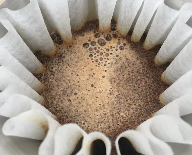 Stagg Bloom Coffee