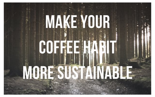 5 Ways to Make Your Coffee Habit More Sustainable