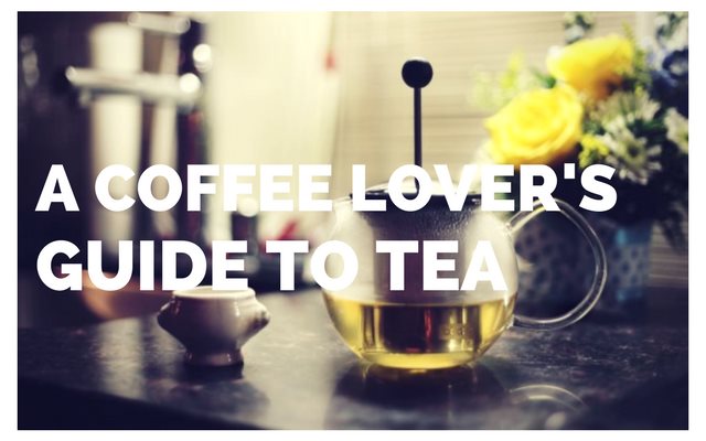A Coffee Lover’s Guide to Tea