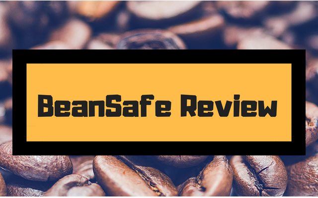 BeanSafe Coffee Storage Container Review