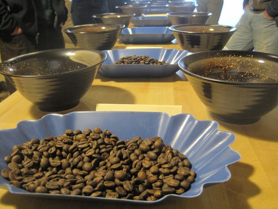 Coffee Cupping – A Sensory Experience