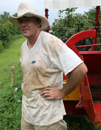 Coffee Internship on Kona Farm