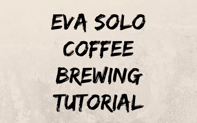 Eva Solo Coffee Brewing Tutorial