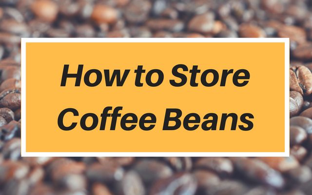 How to Store Coffee Beans (Tips and Recommendations)