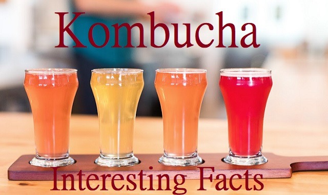 Interesting Facts About Kombucha You May Not Know Yet