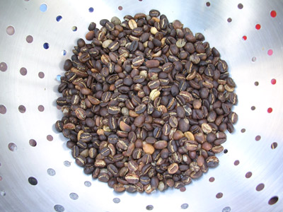 Rookie Roast – Confessions of a First-Time Home Roaster